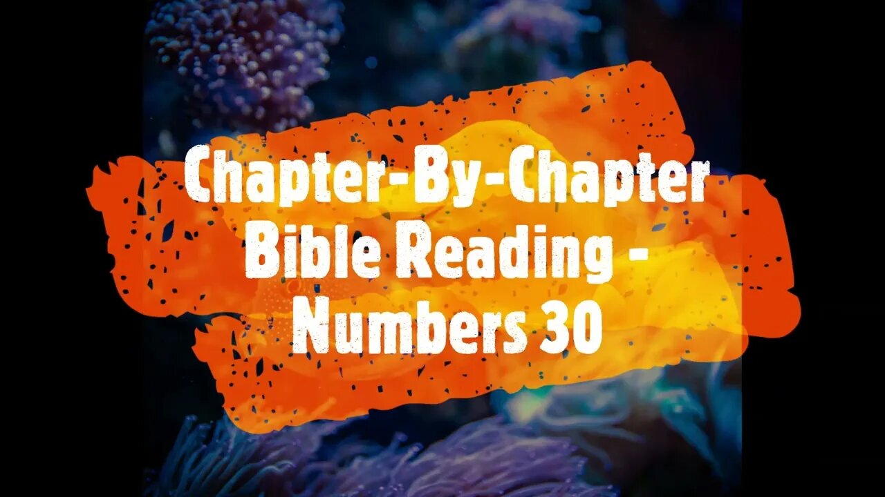 Chapter-By-Chapter Bible Reading - Numbers 30