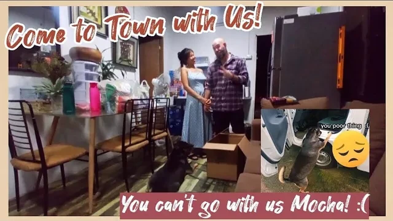 Come to Town with Us and See if it's our Lucky day!Just US Putting away Groceries-Full of Laughter!😇