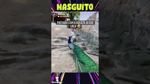 Memes em imagens - VOLTANDO DO BANHEIRO NA ESCOLA #shorts