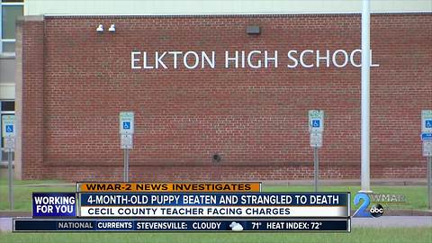 High School gym teacher charged for choking puppy to death