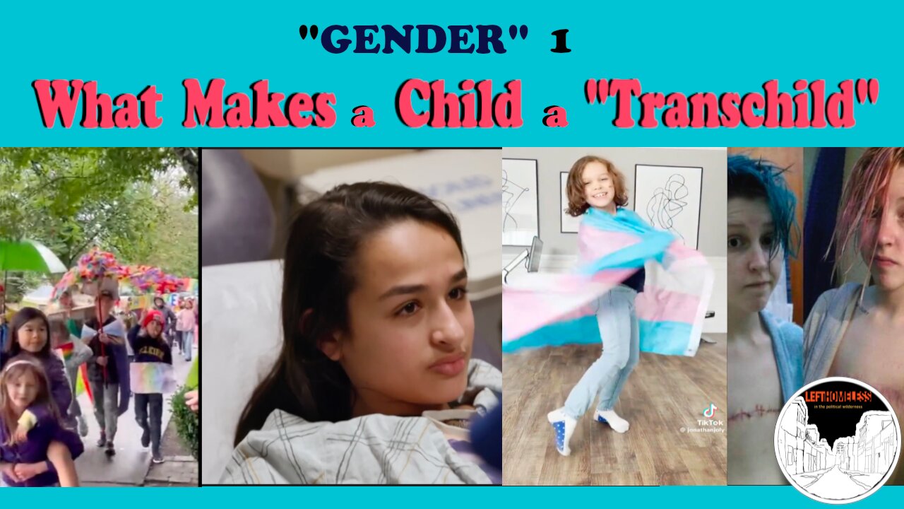 What Makes a Child a "Transchild?"