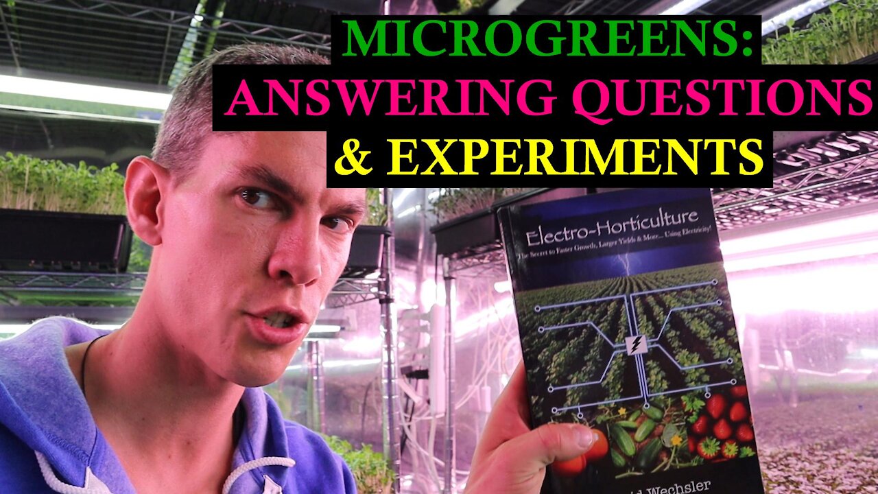 he Microgreen Experiments We Are Playing With To Test Growth Speed and Crop Resilience