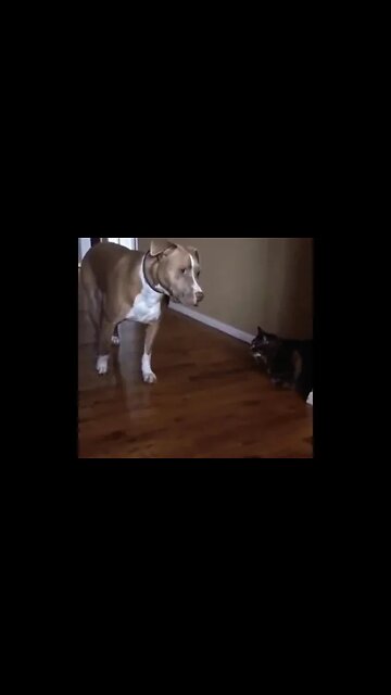 When you stroll in late to work and see the boss' boss in the hallway.