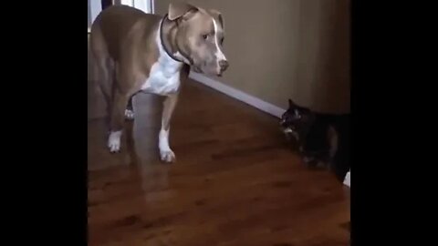 When you stroll in late to work and see the boss' boss in the hallway.