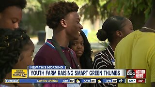 Youth Farm in St. Pete teaches kids gardening and cooking skills