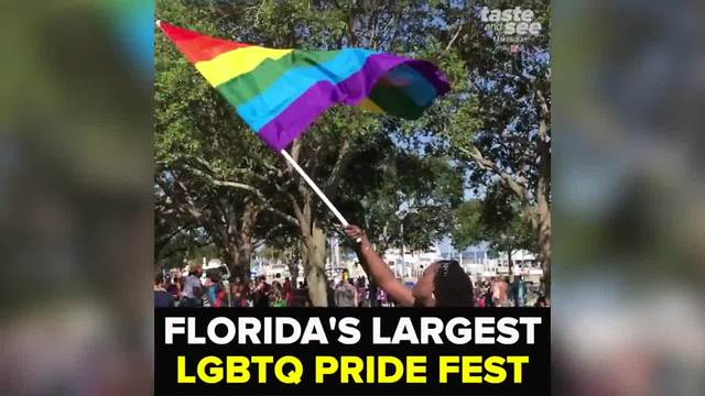 Florida's largest LGBT pride festival begins this weekend in St. Pete | Taste and See Tampa Bay