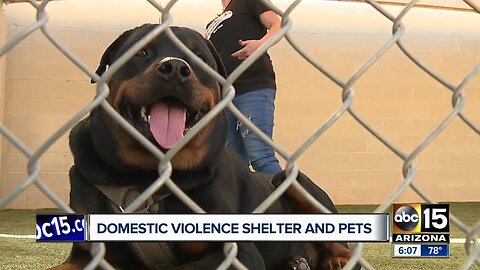 Valley domestic violence shelter takes women and pets