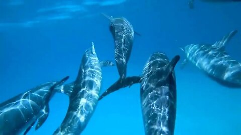Nature of the Northern Mariana Islands 1