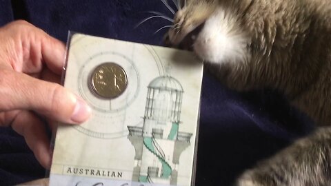 2015 Australian Lighthouses Coin: A Cat Biting Beauty!
