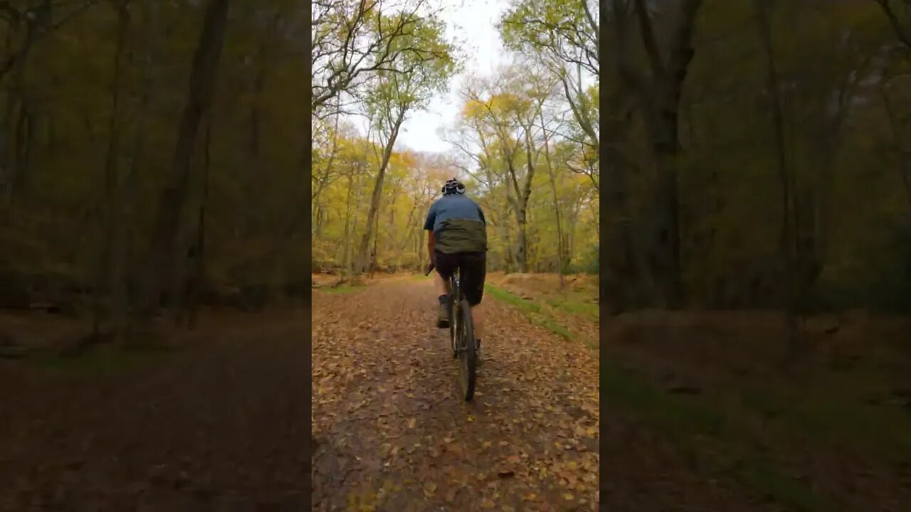 The Edge Riders #Shorts