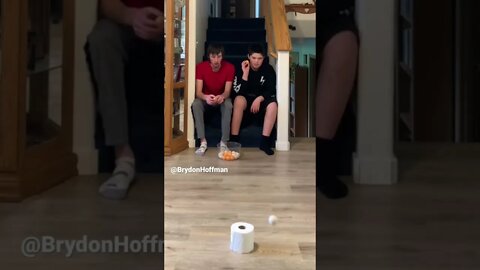 This Crazy Little Trick Will Make Your Ping Pong Ball Bouncing in Toilet Paper Rolls! 🧻 #shorts