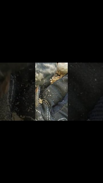 Civil War Musket Ball #civilwar #bullet #button #musketball #threeringer #metaldetecting