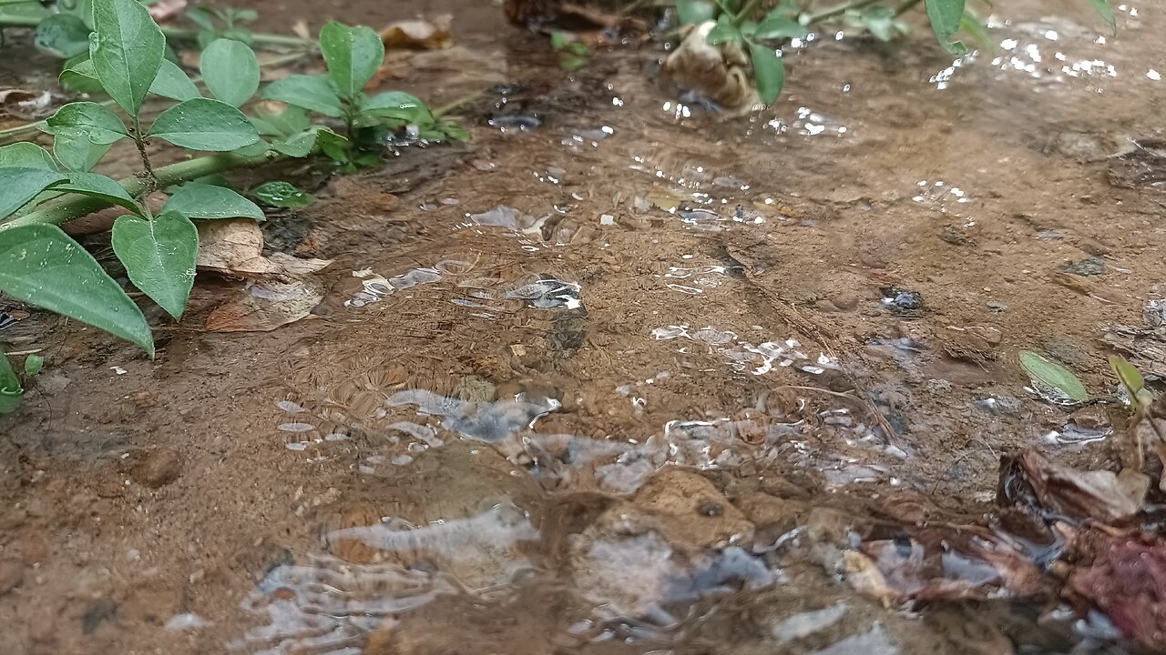 Mini river flow with mini dam