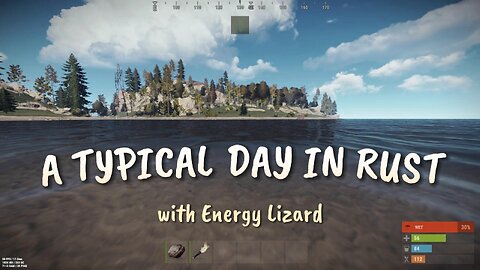 A Typical Day in Rust