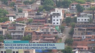 Ipatinga: Índice de Infestação de Dengue é mais de Três Vezes o Recomendado pela OMS.