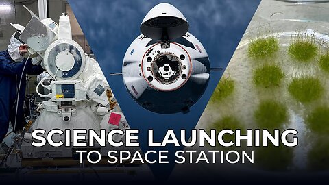 Science Launching on SpaceX's 31st Cargo Resupply Mission to the Space Station