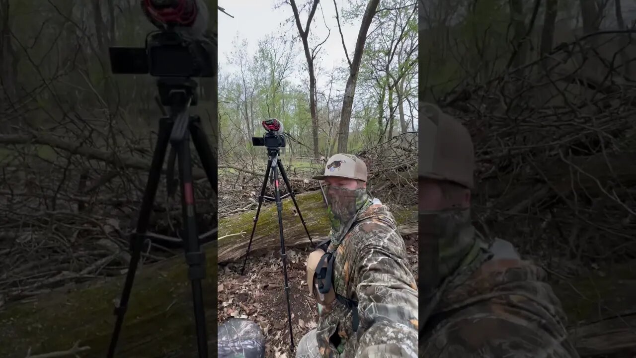 Last Evening Turkey Setup! #shorts #shortvideo #wisconsin #turkeyhunting #shotgun #hunting #spring