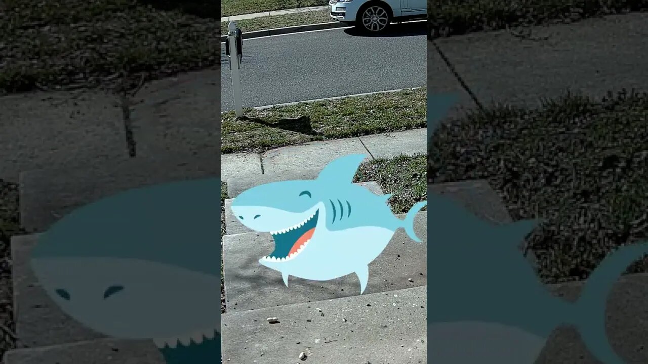 A Shark Visits #Shorts 🤔