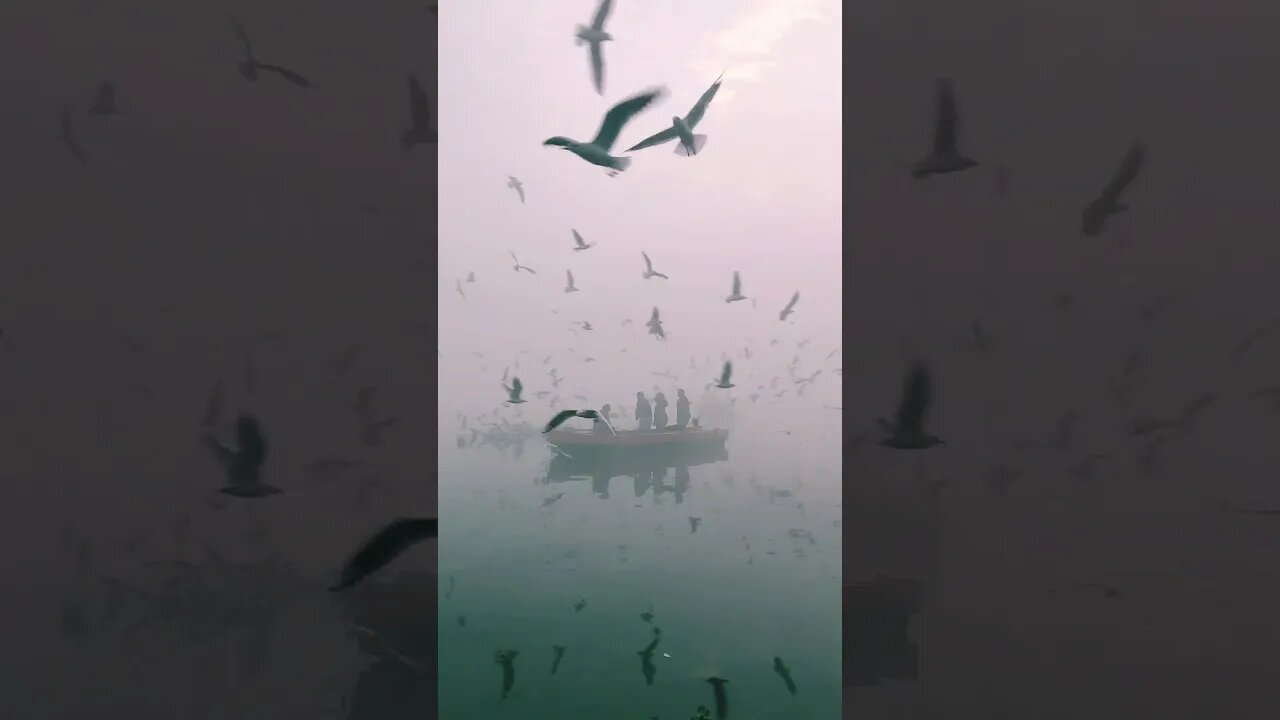 Beautifull Moring #shorts #viral #youtubeshorts #best #morning #viralshorts
