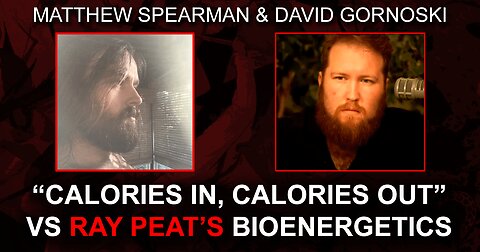 "Calories In, Calories Out" vs Ray Peat's Bioenergetics w/ Matthew Spearman