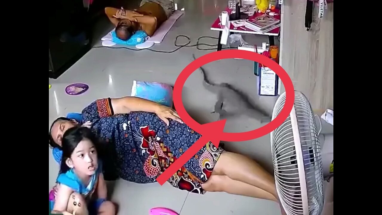 So Many strange! Have you seen that