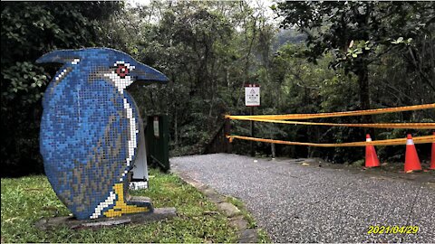 21_0429日月潭 大竹湖