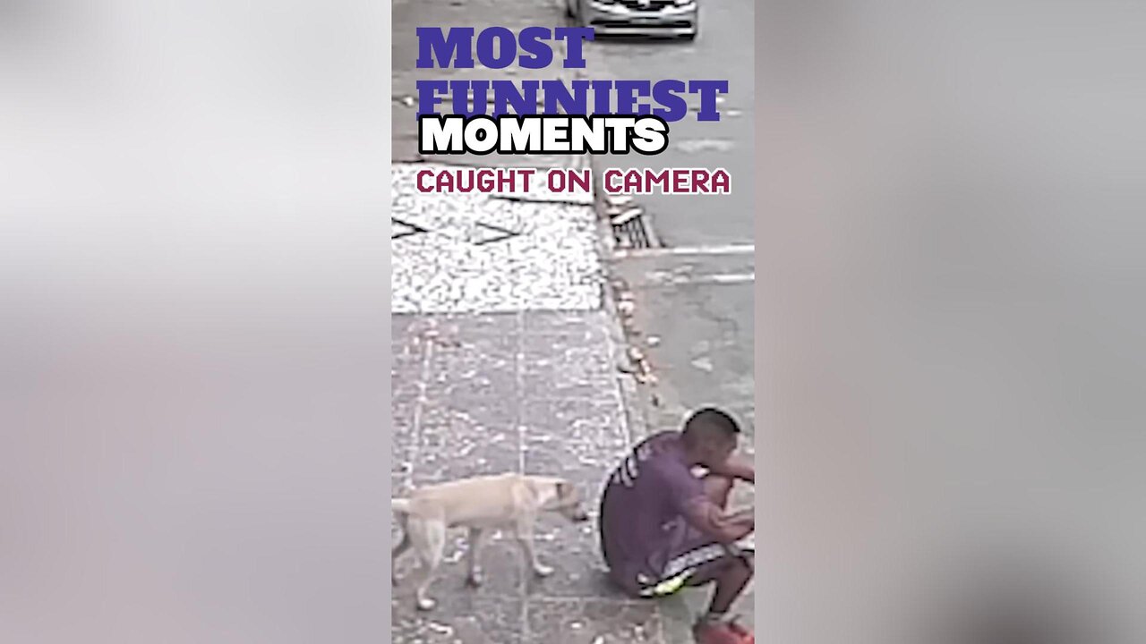 Most Funniest Moments Caught on Camera