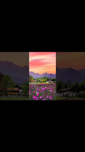 panchhi sure main gate hain | bhanvare muskurate | butterfly