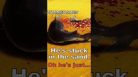 Stuck in the Sand - Maneater