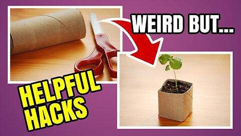 Top 10 Weird But Really Helpful Hacks