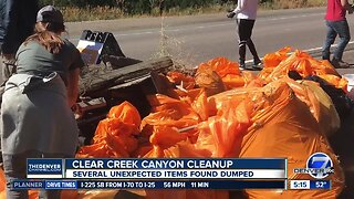 Cleanup volunteers found unexpected items during cleanup