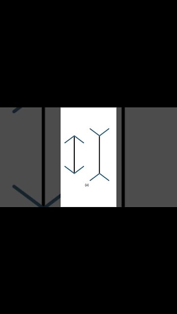 Environment Dictates Perception #opticalillusion #psychology #indigenous