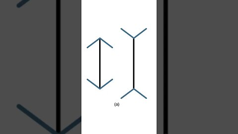 Environment Dictates Perception #opticalillusion #psychology #indigenous