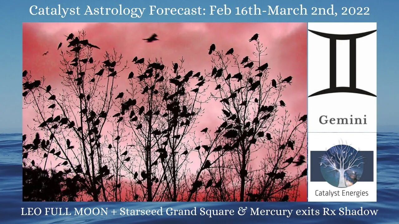 GEMINI - Catalyst Astrology Forecast - LEO FULL MOON + STARSEED GRAND SQUARE - Feb 16-March 2nd