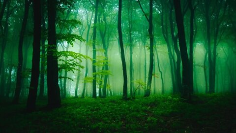 Celtic Sleep Music - Mossy Vine Forest | Relaxing, Soothing, Peaceful ★94