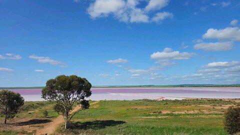 A Pink Lake - Lake Bumbunga