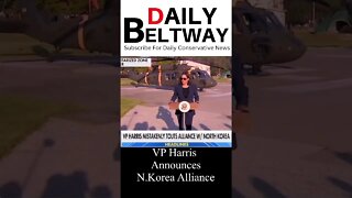 Vice President Kamala Harris Touts Alliance with North Korea #shorts #shortsvideo