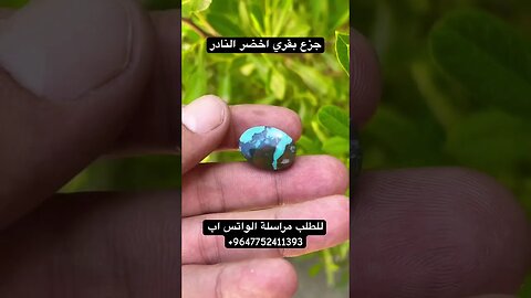 جزع بقري اخضر نادر