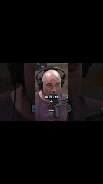 WOW Joe Rogan on El Chapo son being captured