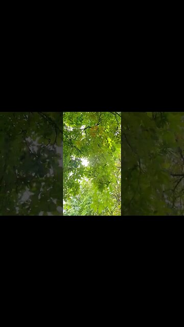 Southall park #reels #shorts #bharatsamgi #reelviral #shortsviral #trending #trendingreels