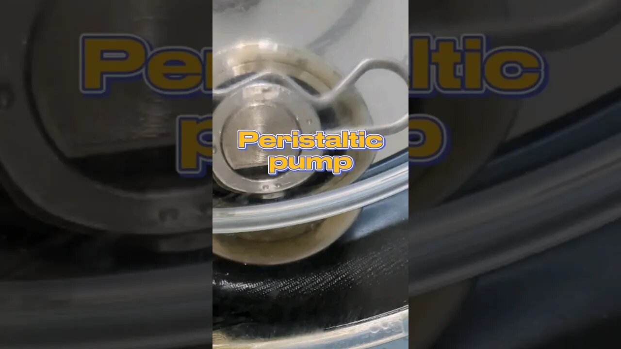 Satisfying Video