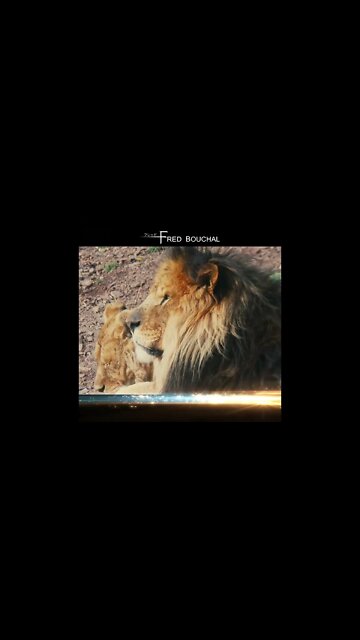 #music #cinematic #inspiration #filmmusic #soundtrack