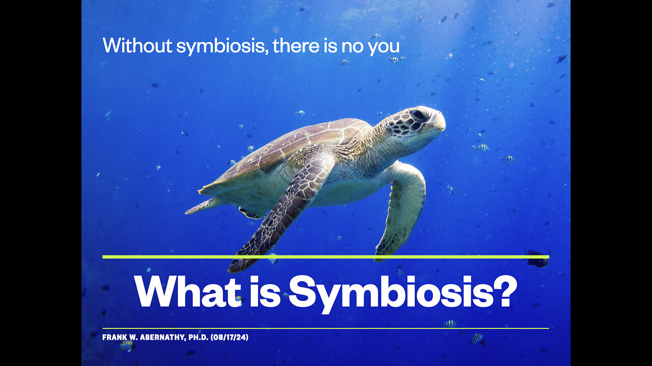 What is Symbiosis