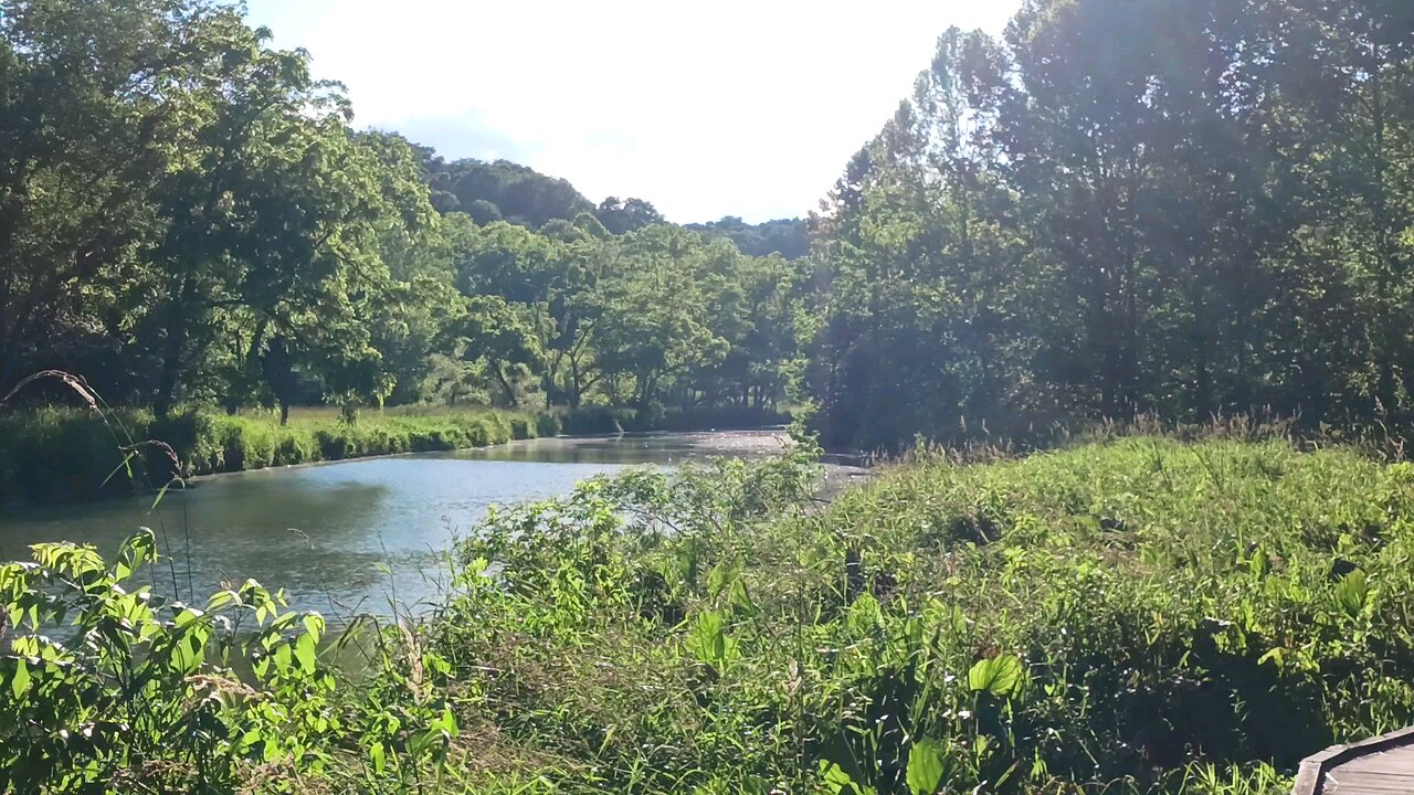 Take A Walk Through The Mason Dixon Marshlands