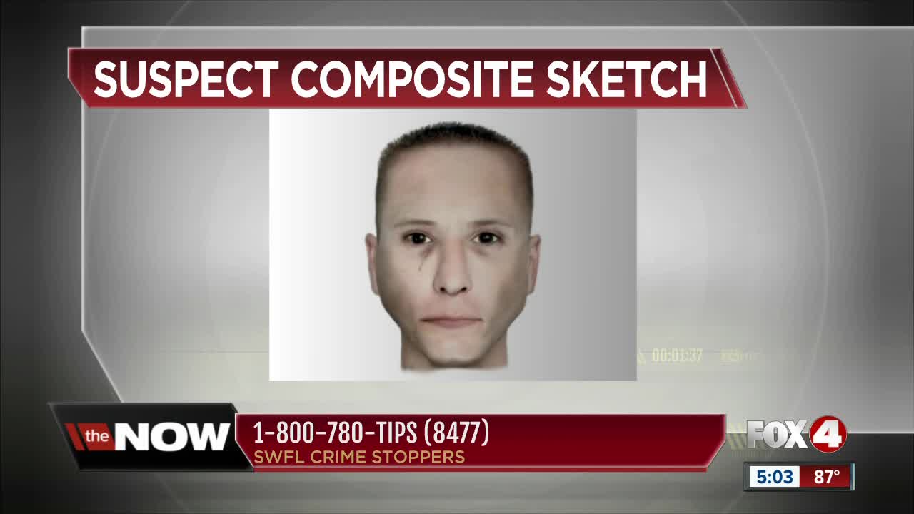 Investigators still searching for attempted kidnapper