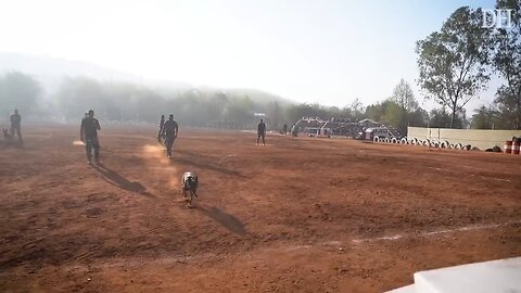 India s Elite K9 Skuad How The CRPF trains it's Combat dogs