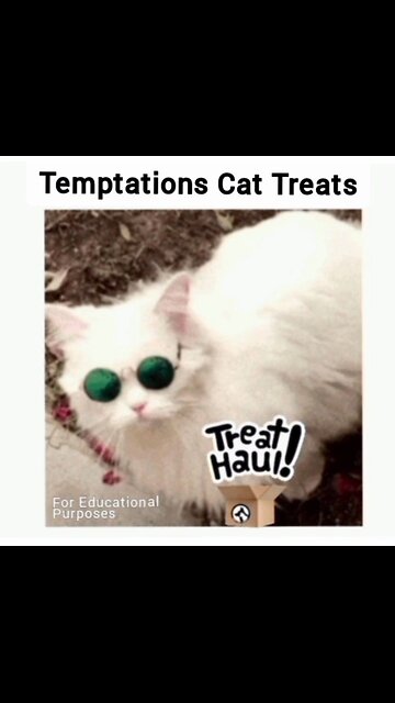 TEMPTATIONS CAT TREATS