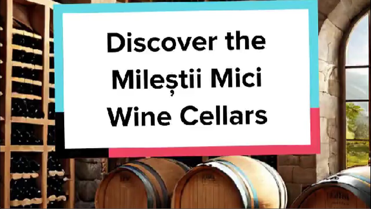 Discover the Mileștii Mici Wine Cellars