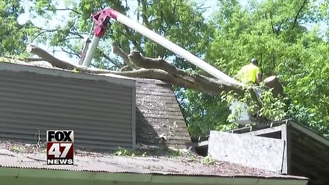 Tree falls on Pleasant Lake family's garage