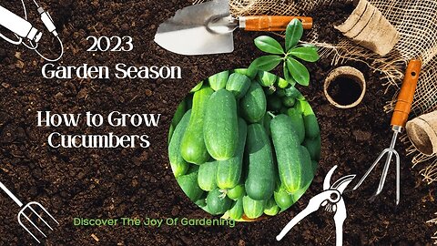 How to Grow Cucumbers